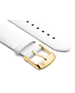 Pasek do zegarka Pierre Ricaud ST0044.1720