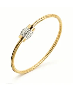 Pierre Ricaud PR165.1WZ