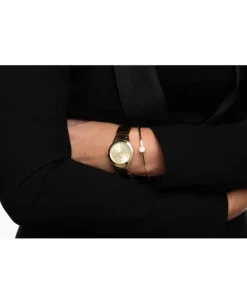 Zegarek damski Pierre Ricaud P22011.1111Q