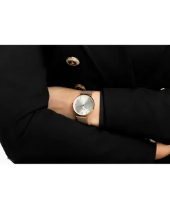 Zegarek damski Pierre Ricaud P22096.91R3Q