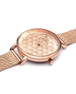 Zegarek damski Pierre Ricaud P22127.91RRQ