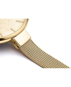 Zegarek damski Pierre Ricaud P22085.1111Q