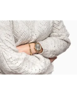 Zegarek damski Pierre Ricaud P22033.1D67Q