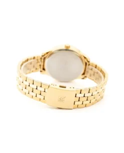 Zegarek męski Pierre Ricaud P91106.1114QF