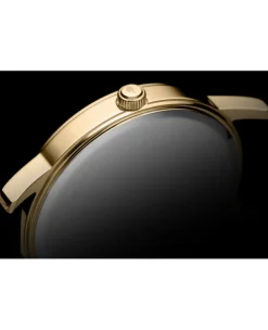 Zegarek męski Pierre Ricaud P91091.1211Q/T